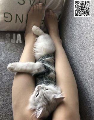 儿媳的诱惑在线观看_蓝光高清免费观看