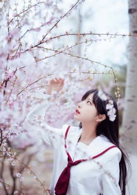 蓝色珊瑚礁 觉醒_蓝光高清电影在线